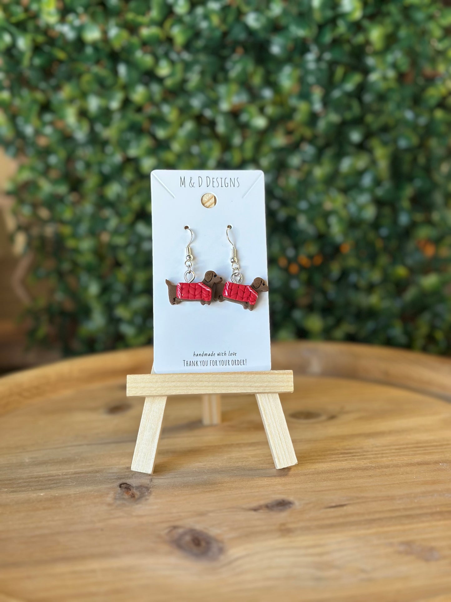 Dachshund in Sweater