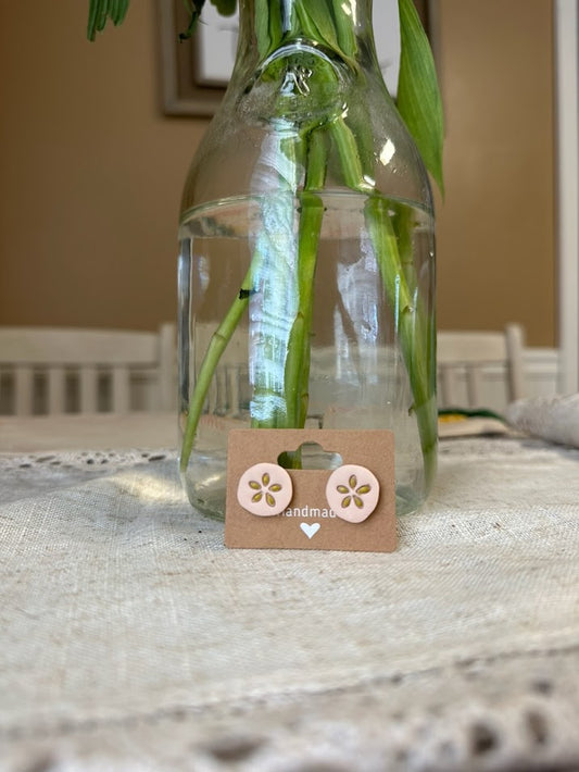 Sand Dollar
