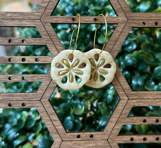 Sand Dollar 1